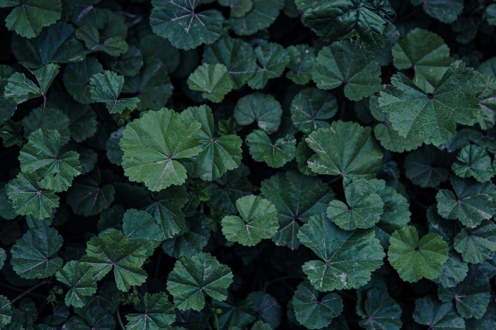 Фотография автора bahar td