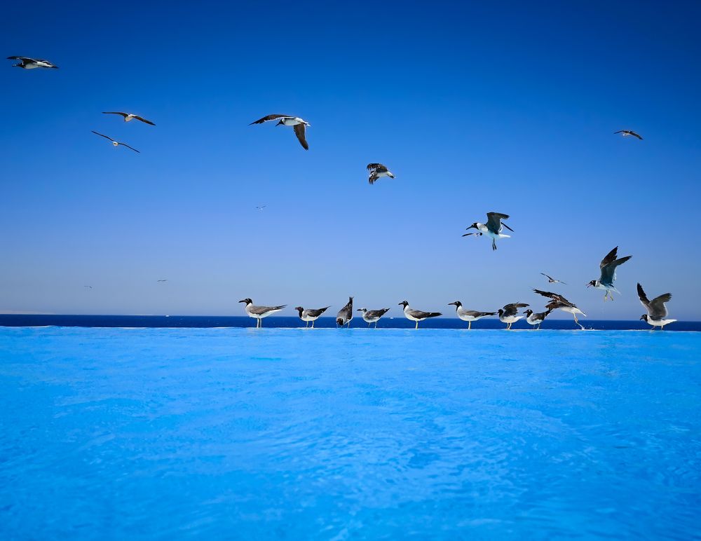 Photograph by Asmaa ElTouny