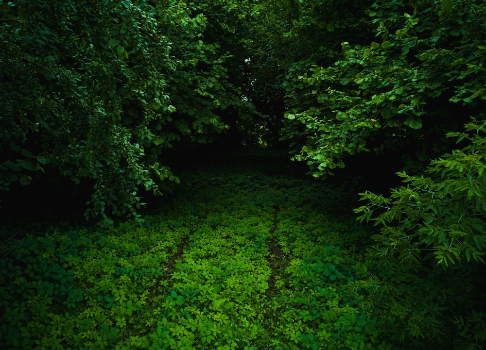 Photograph by Алексей Крукович