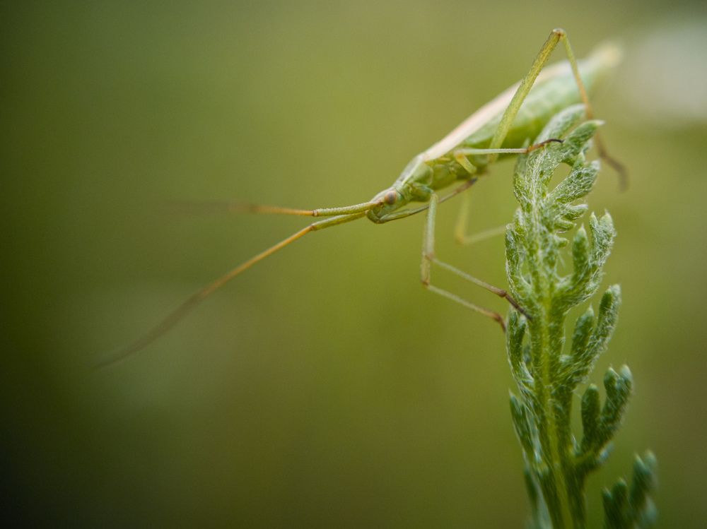 Photograph by Алексей Крукович
