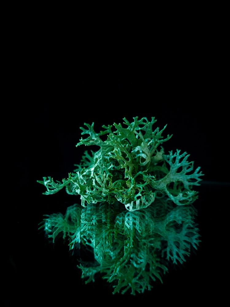 Photograph by Алексей Крукович