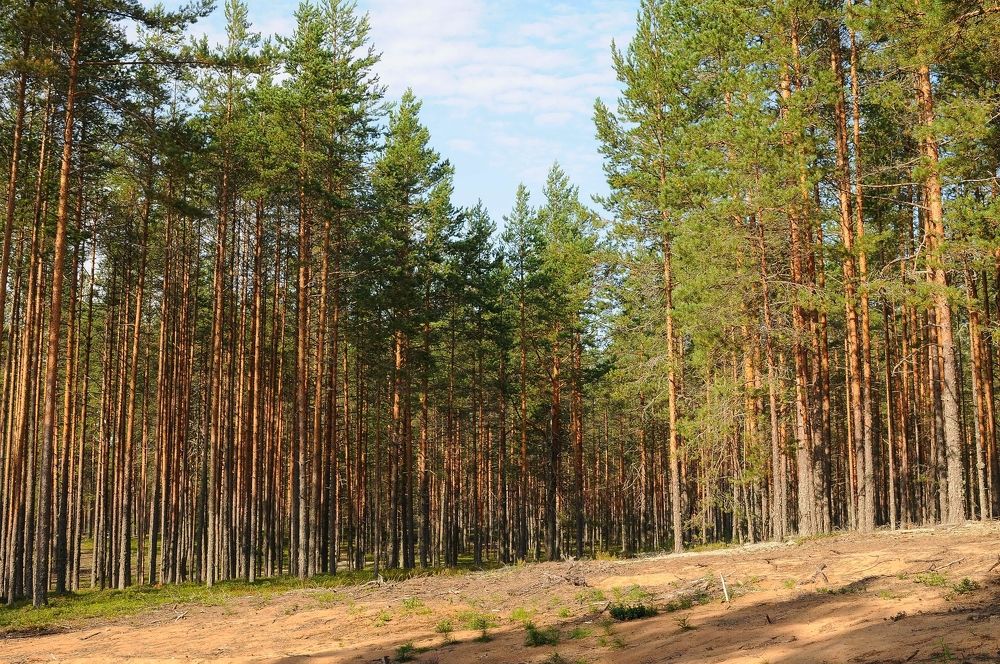 Photograph by Владимир