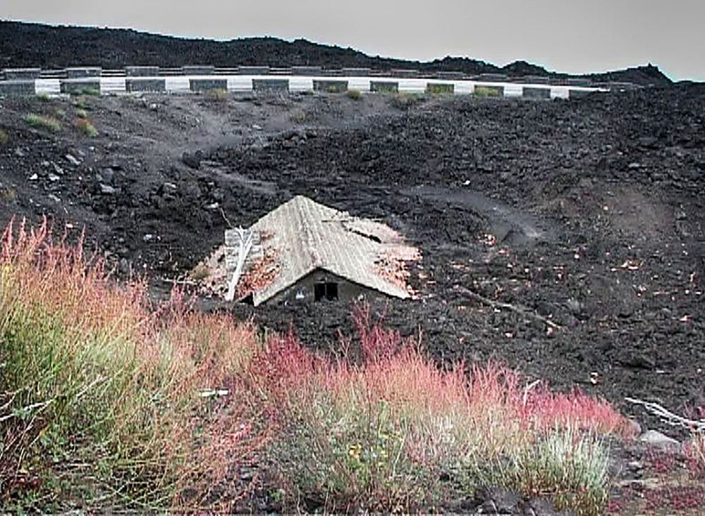 Photograph by Владимир Гречанинов