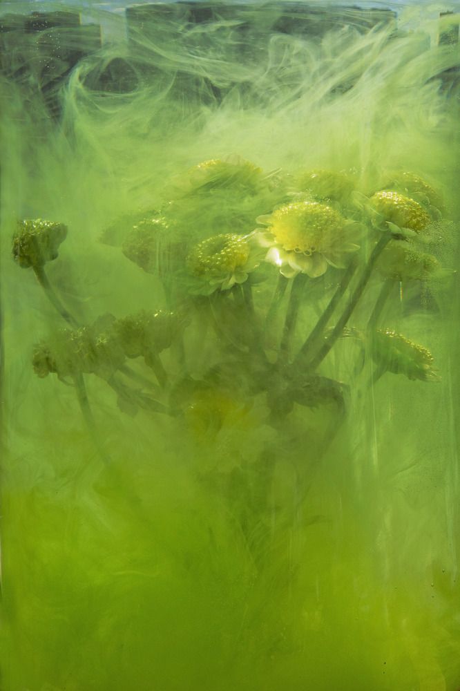 Photograph by Константин Мишнаевский