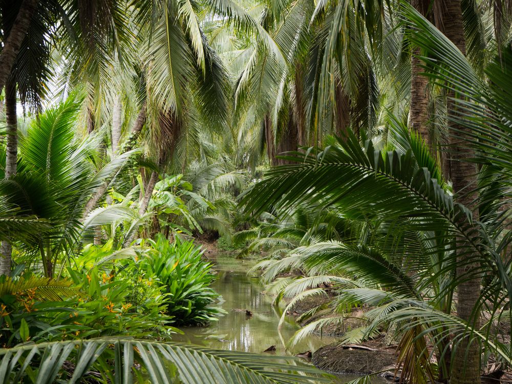 Photograph by Анатолий Румачик