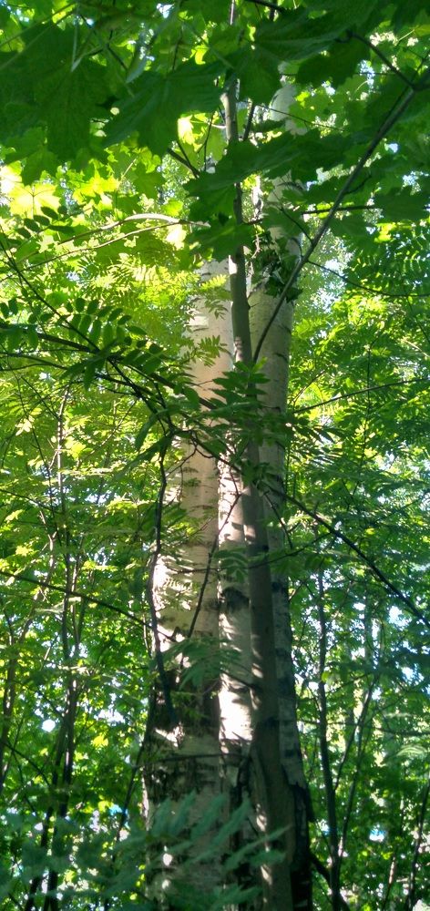 Photograph by Любовь Макарова