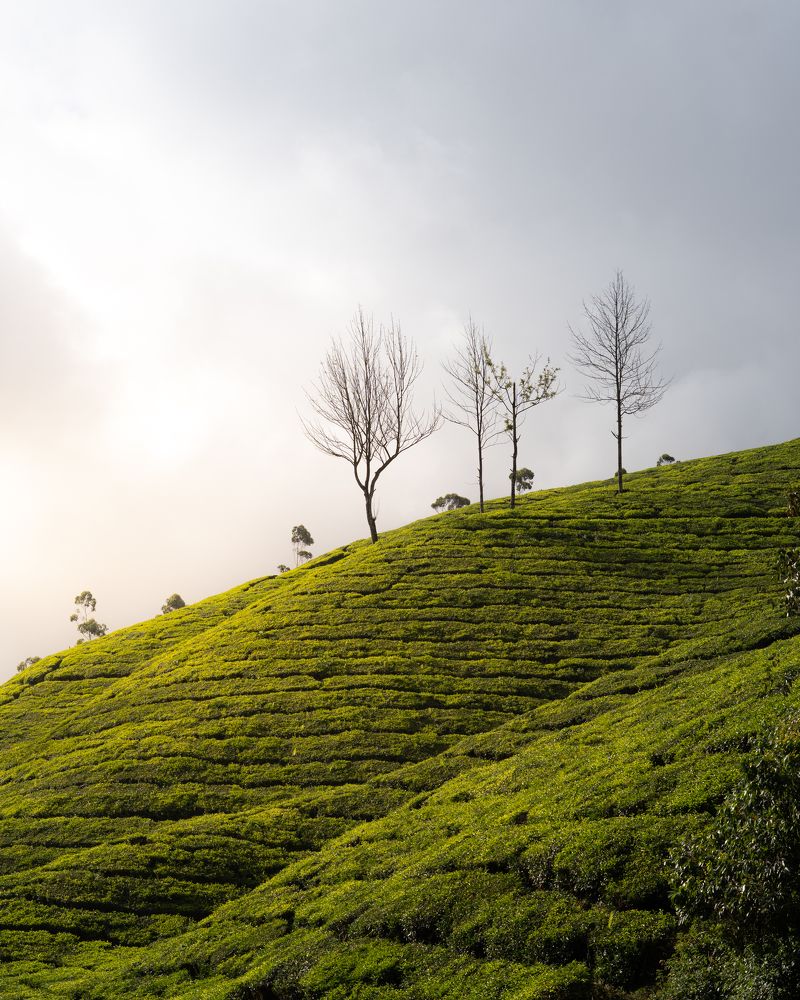 Photograph by Adarsh P