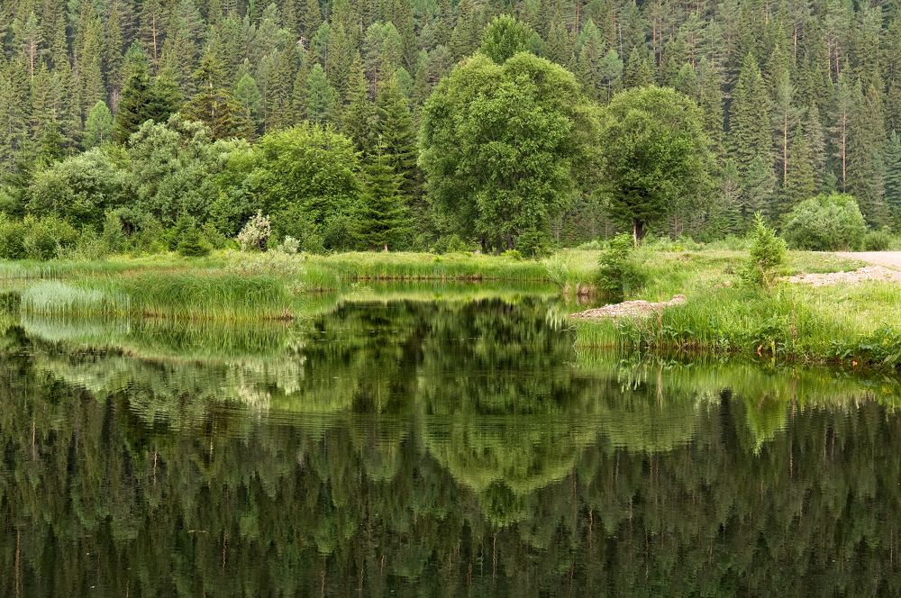 Photograph by Марина Фомина