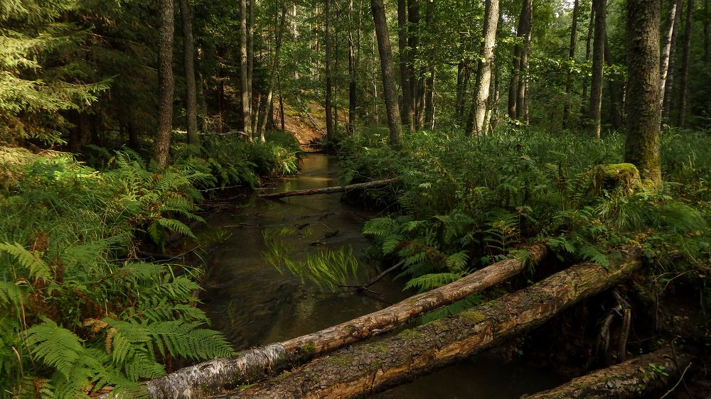 Фотография автора Boris Yakovlev