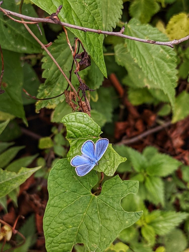 Photograph by mehdi shokravi