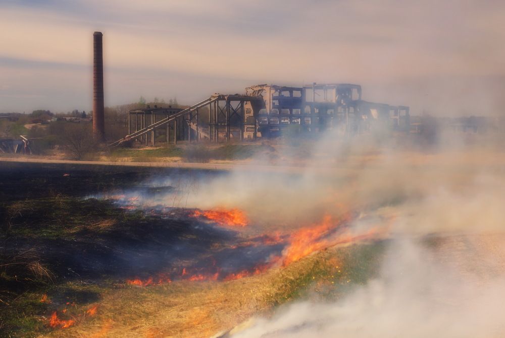 Photograph by Евгений Жиляев