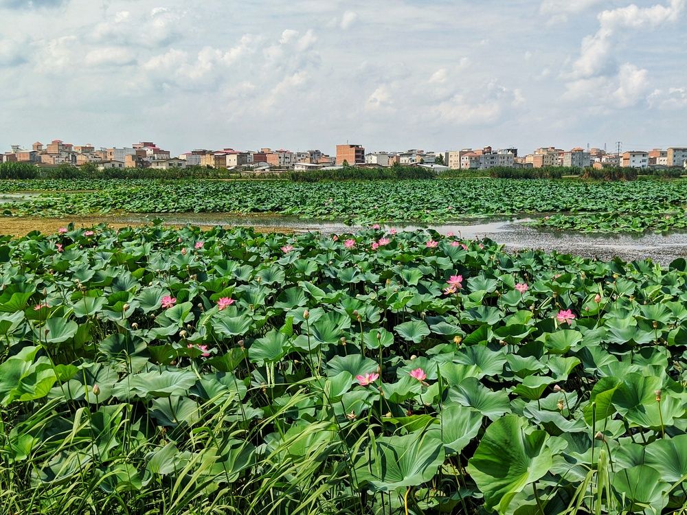 Photograph by mehdi shokravi