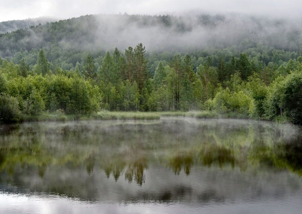 Photograph by Марина Фомина