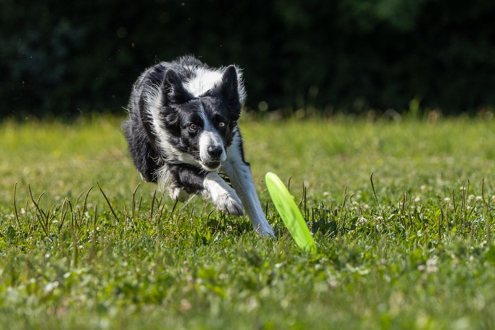 Photograph by Илья Юфа