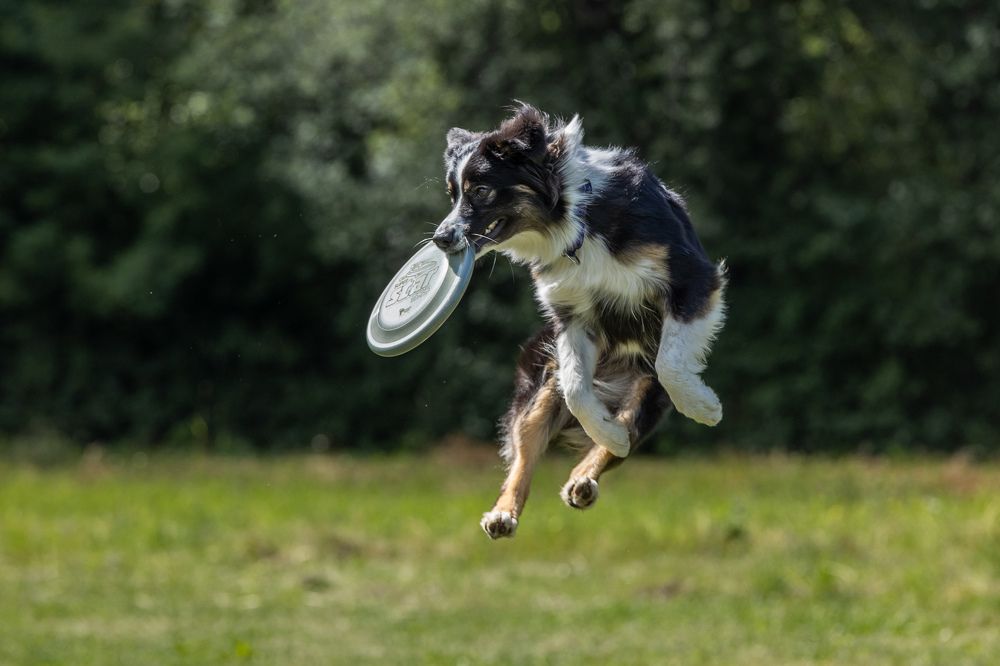 Photograph by Илья Юфа