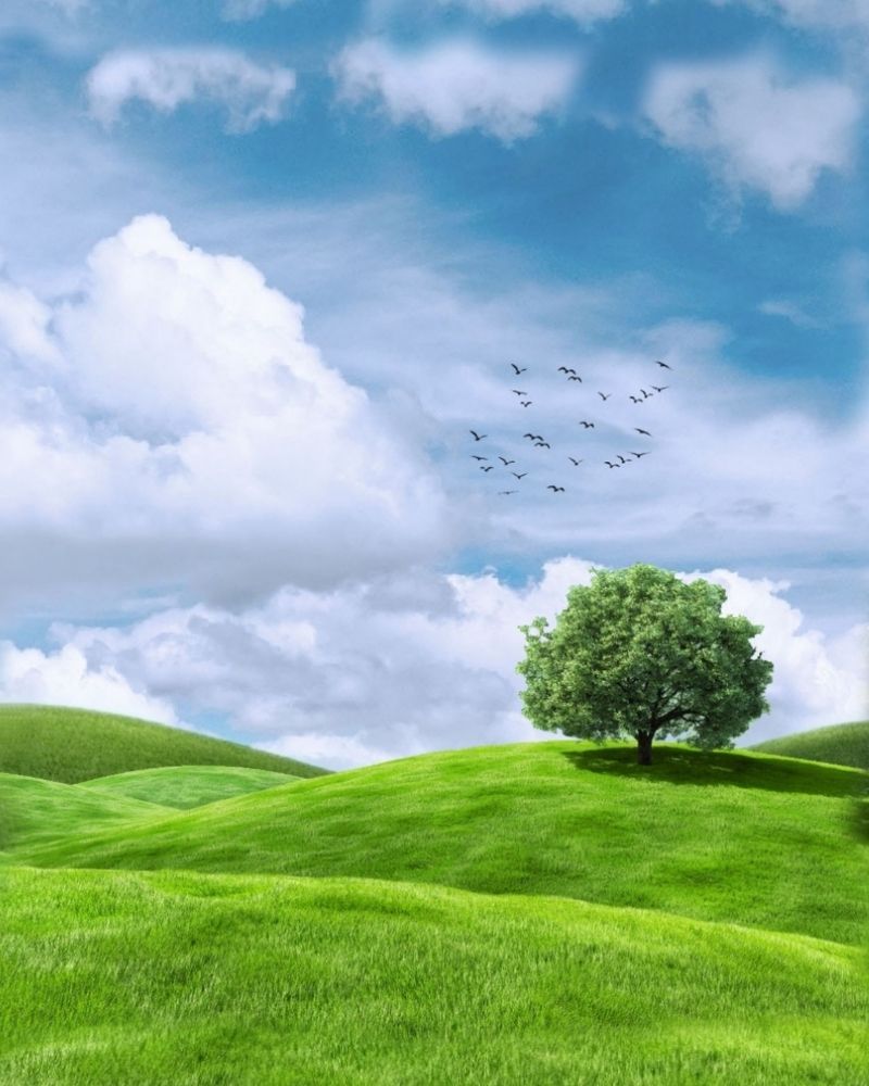 Фотография автора bahar td