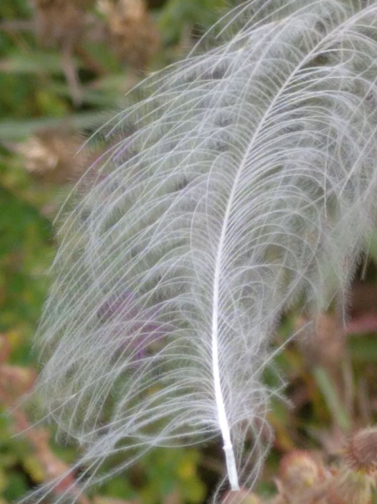 Photograph by Елена Коробченко