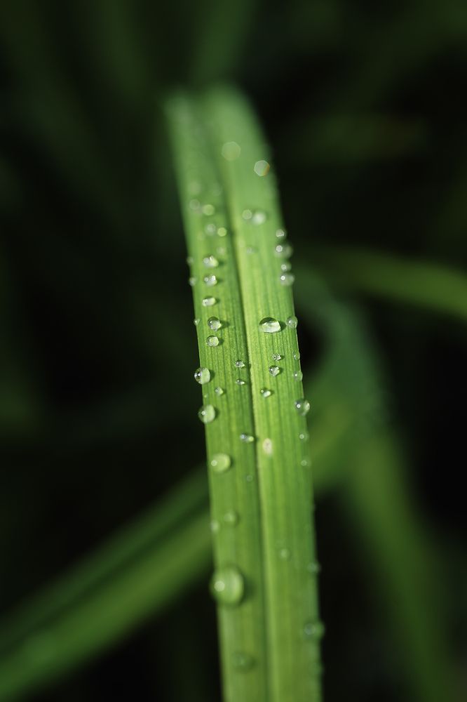 Photograph by Anna Sindikayeva