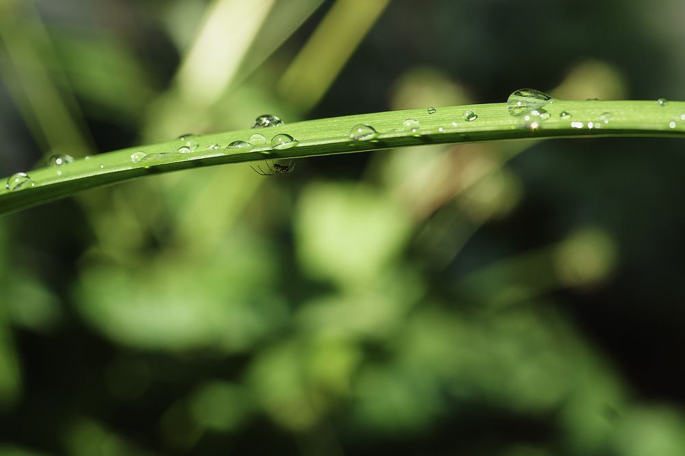 Photograph by Anna Sindikayeva