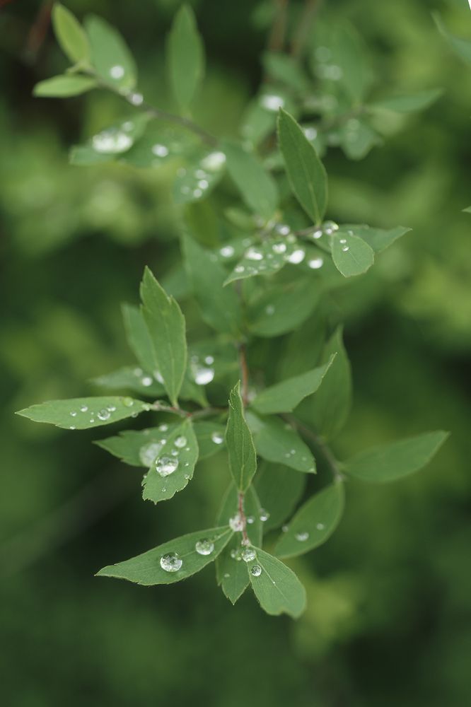 Photograph by Anna Sindikayeva