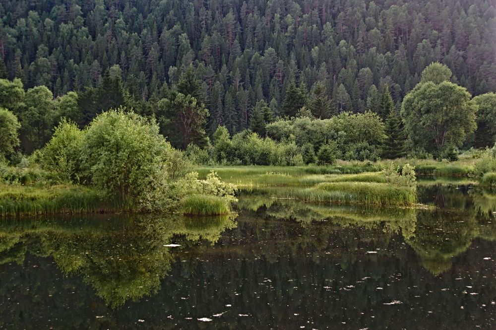 Photograph by Марина Фомина