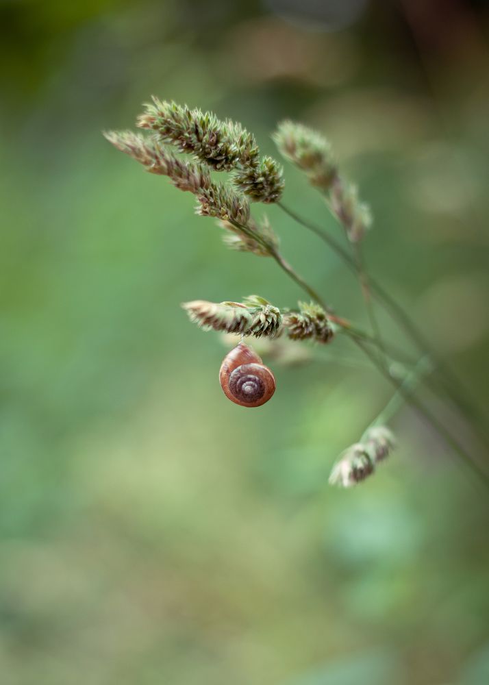 Photograph by Дарья Кончакова