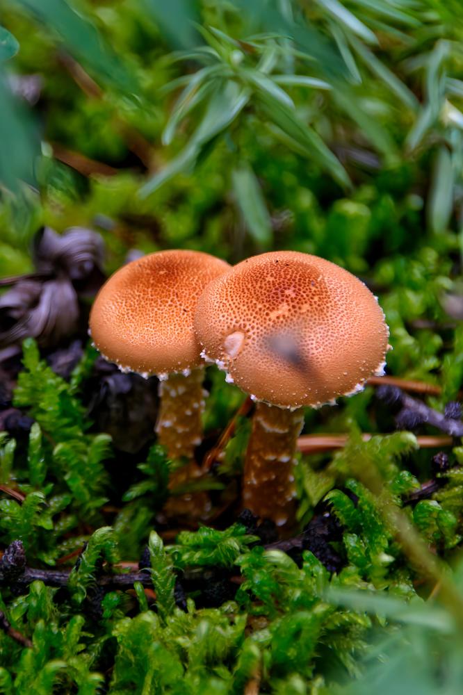 Photograph by Виктория