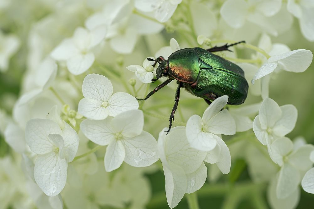 Photograph by Anna Sindikayeva