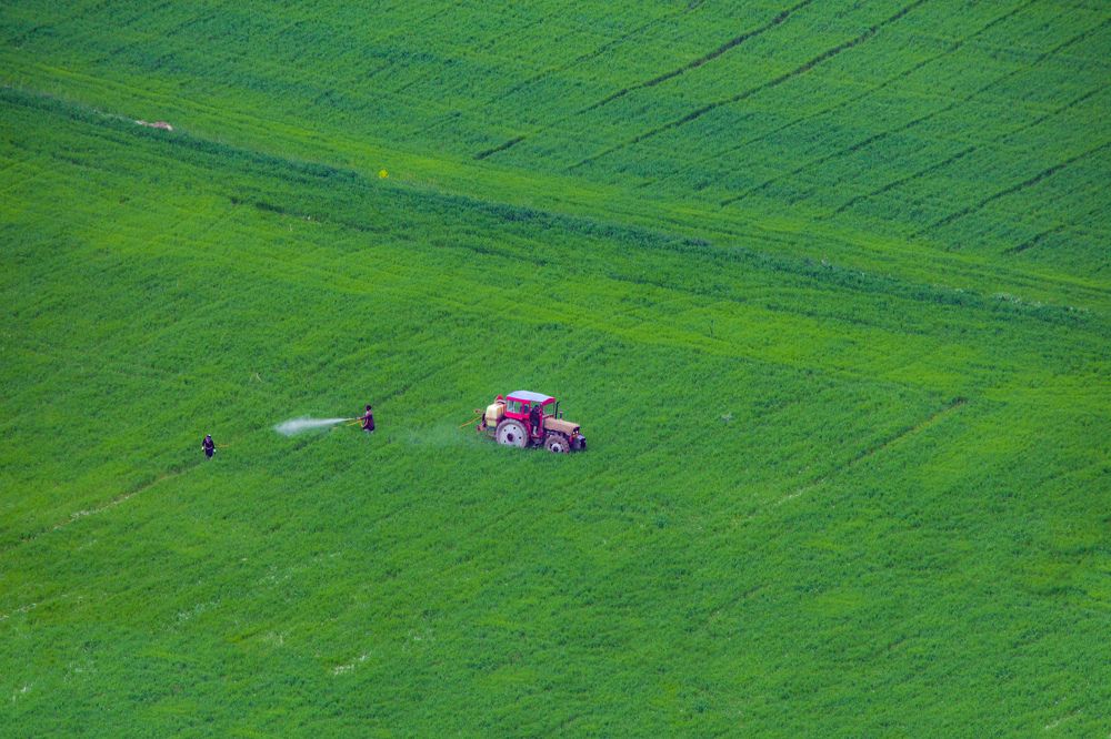 Photograph by mohammad Alipour