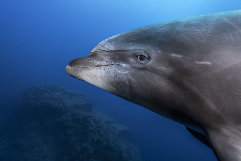 Photograph by Valentina Cucchiara