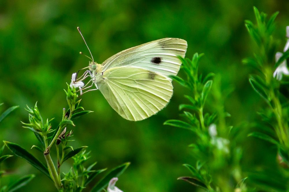Photograph by Екатерина Нефедова
