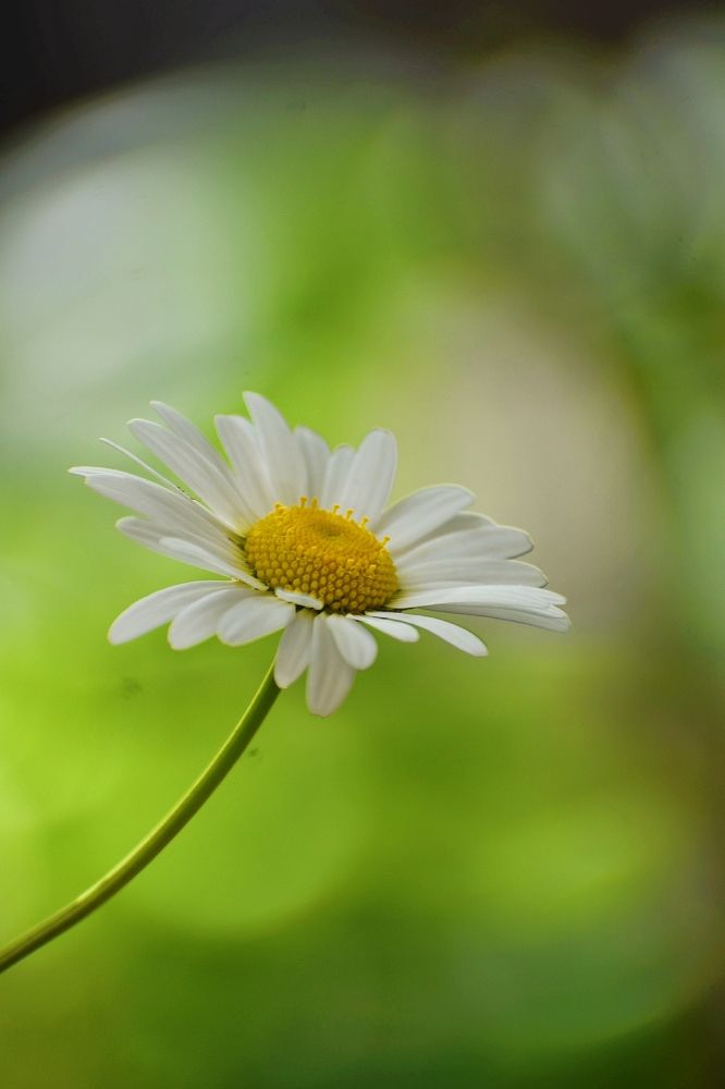Photograph by Волков Александр