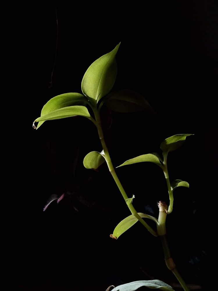 Photograph by Mehrshad Pahlavan