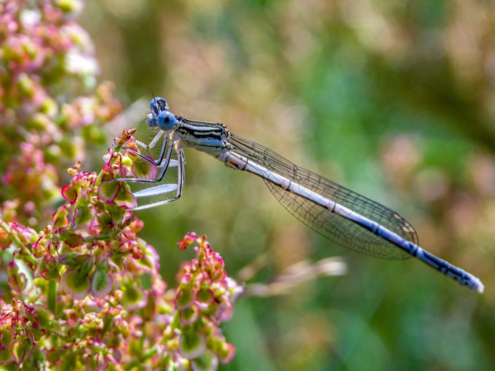 Photograph by Алексей Кузьмич