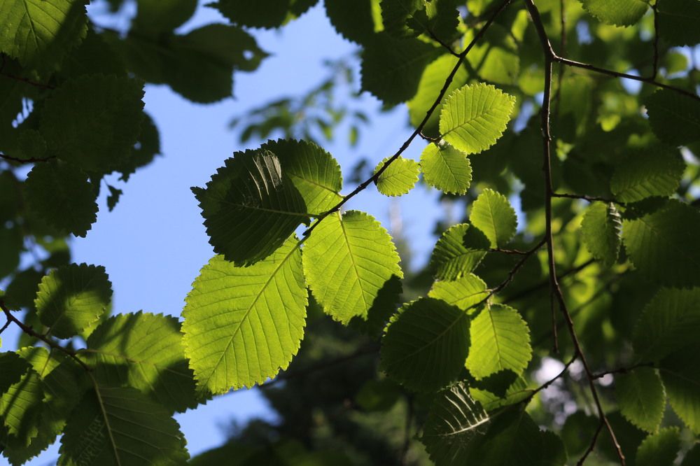 Photograph by Софья