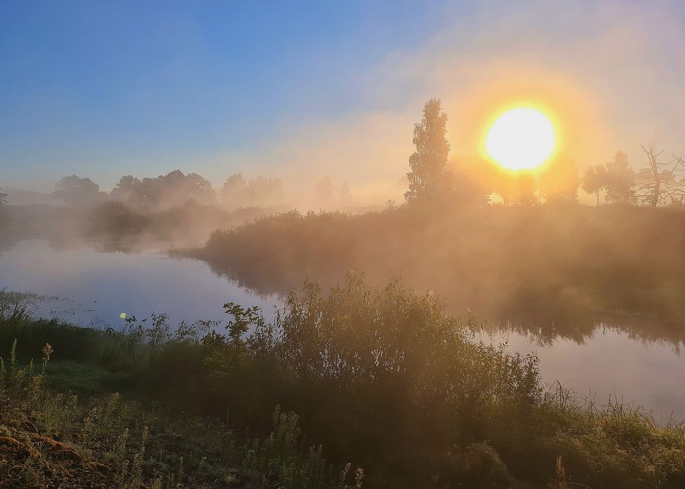 Photograph by Николай Протасеня