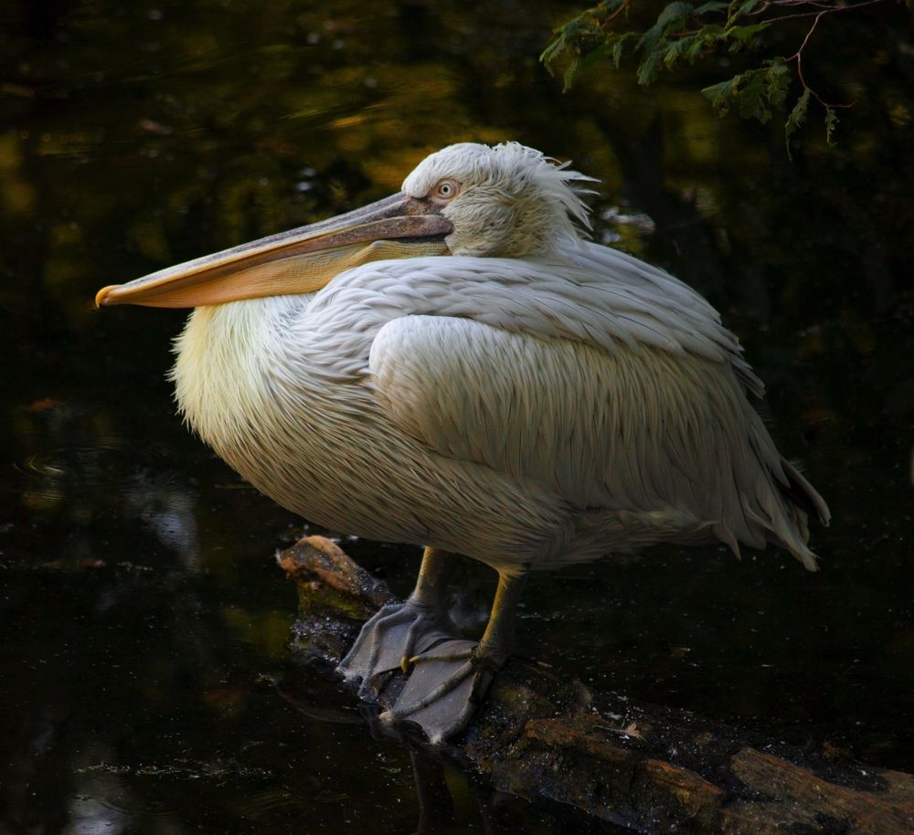 Фотография автора Galina Sa