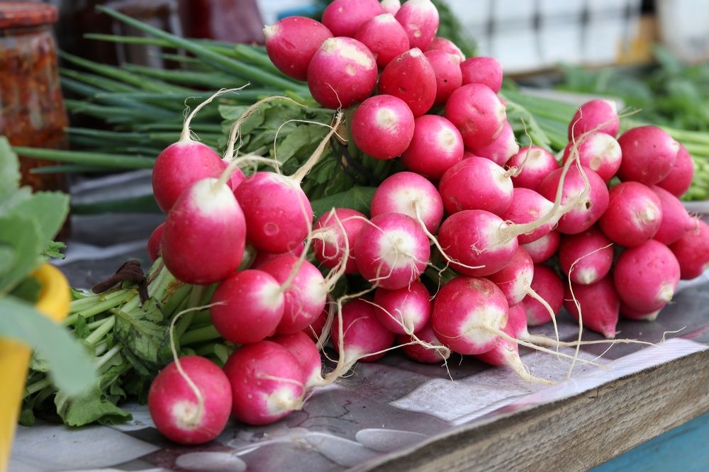 Photograph by Марина Савченко