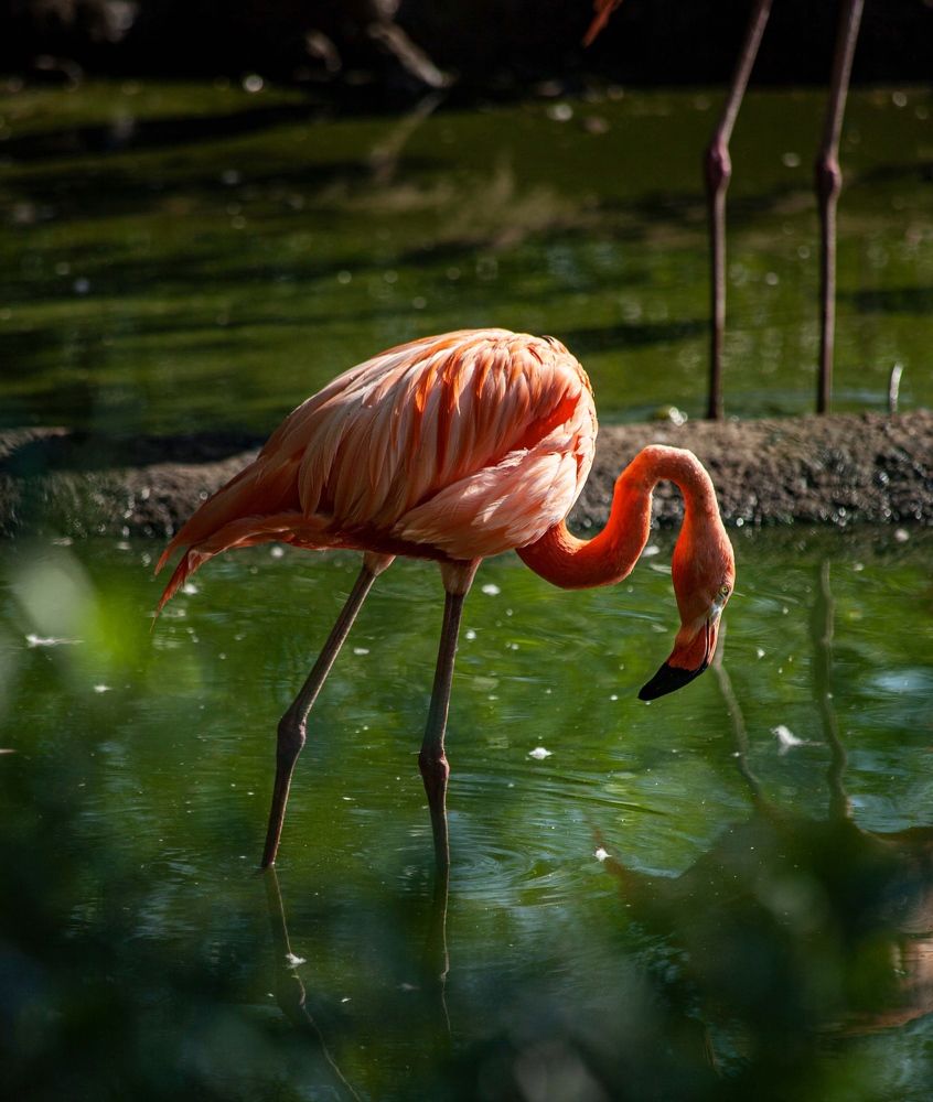 Фотография автора Galina Sa