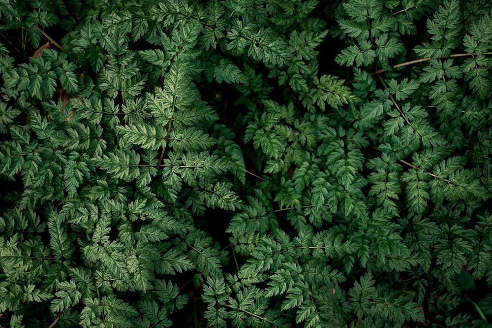 Photograph by Наталья Быстрая