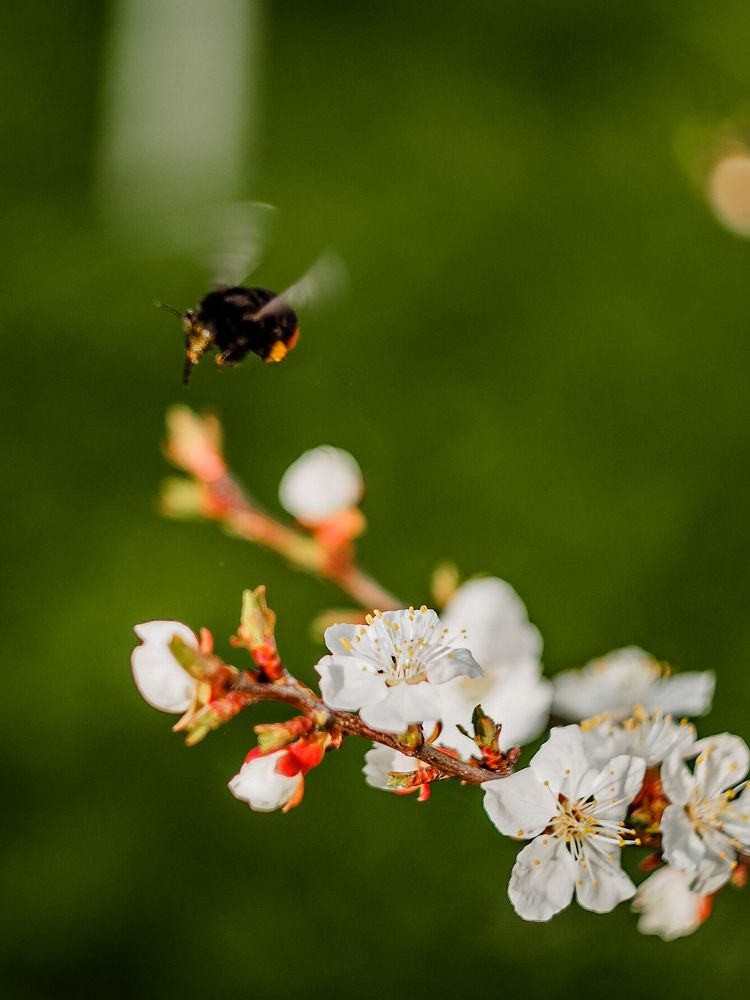 Photograph by Татьяна Шевченко