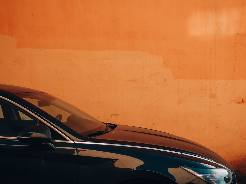 Photograph by Сафронова Любовь