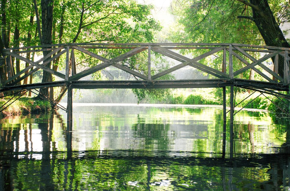 Photograph by Наталья Быстрая