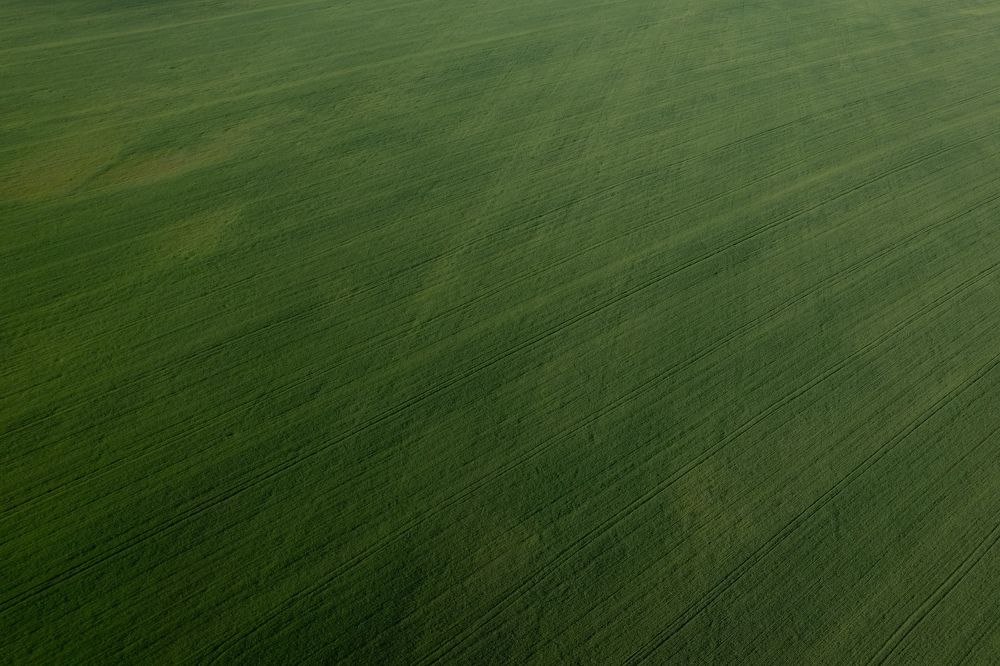 Photograph by Виктор Кабак