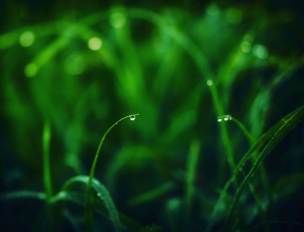 Photograph by Ольга Попова