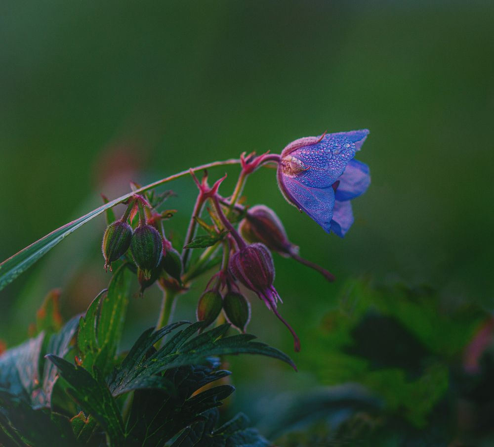 Photograph by Ольга Попова