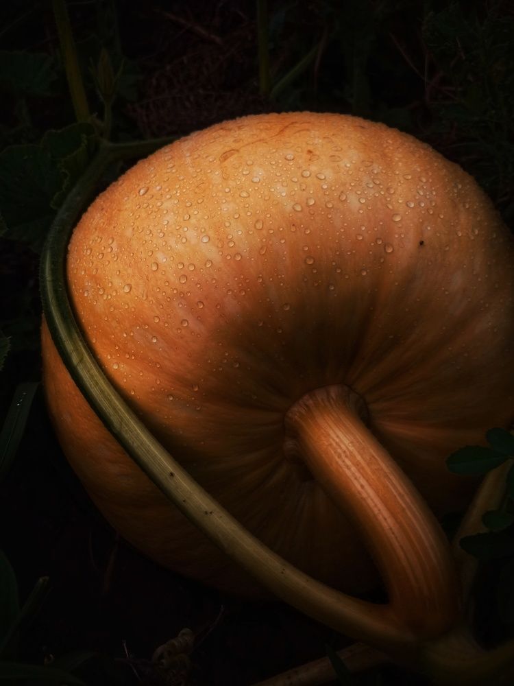 Photograph by Евгения Акишева