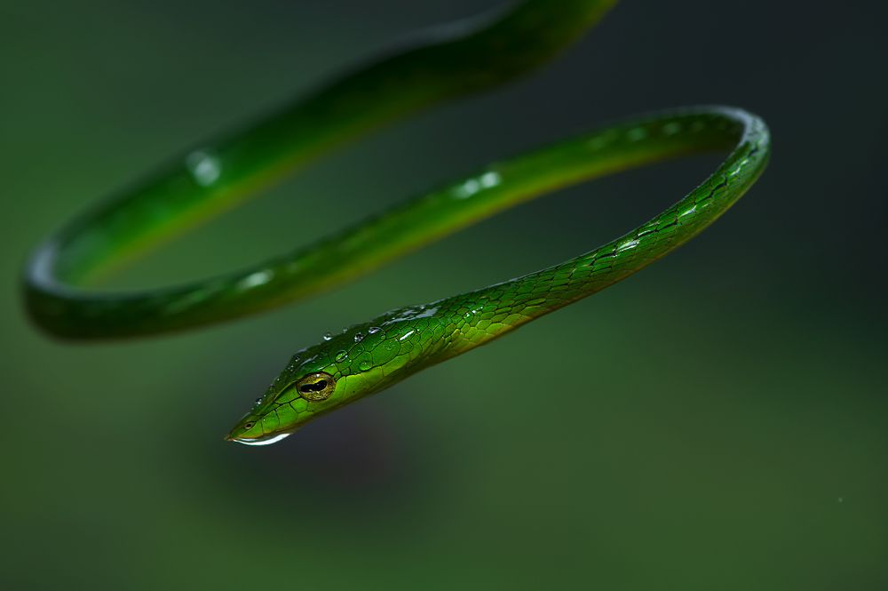 Photograph by Rahul Kahar