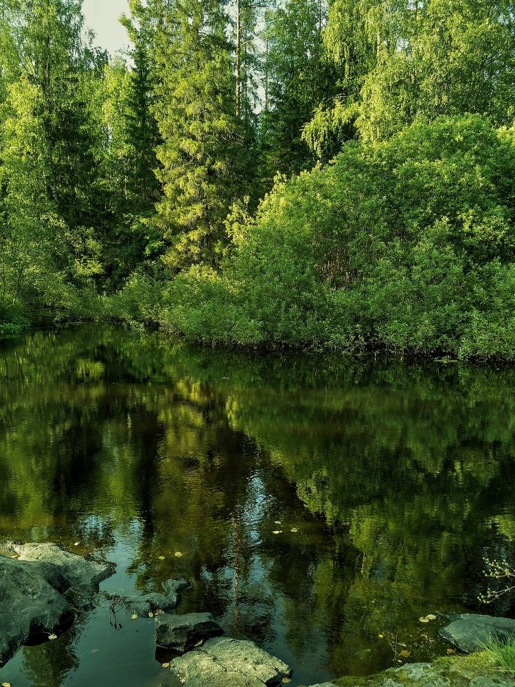 Photograph by Ирина Шилина