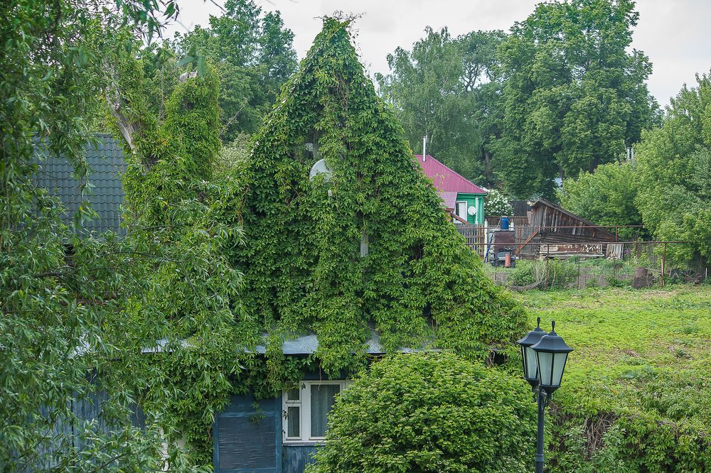 Photograph by Елена Шахова